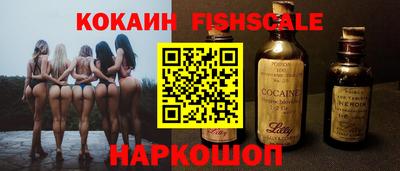 стаф Сланцы