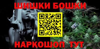 стаф Сланцы