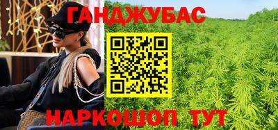 стаф Сланцы