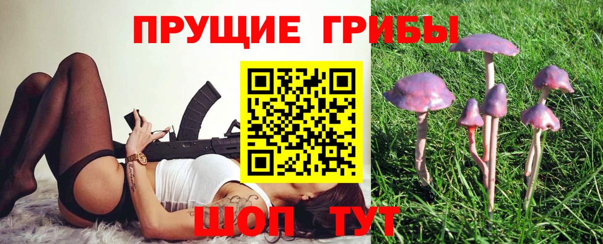 Псилоцибиновые грибы GOLDEN TEACHER  Вход с VPN  Псилоцибиновые грибы MAGIC MUSHROOMS  Пенза 